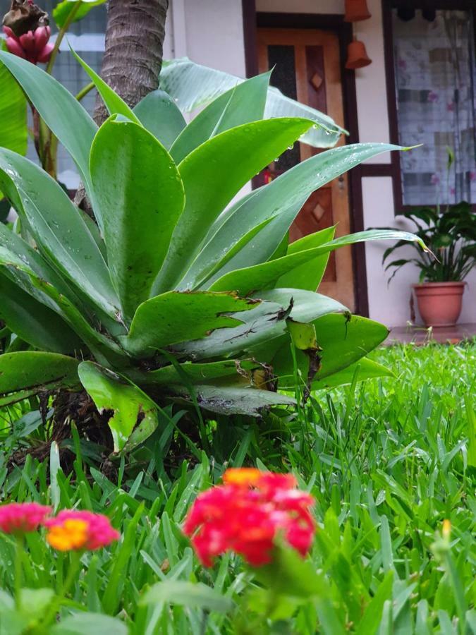 Turrialba Bed & Breakfast Exteriör bild