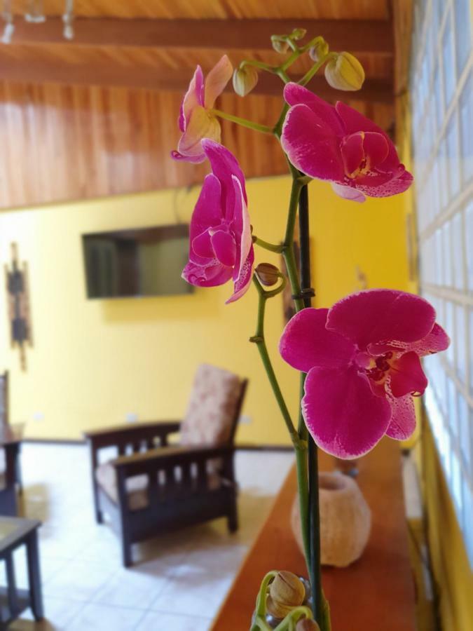 Turrialba Bed & Breakfast Exteriör bild