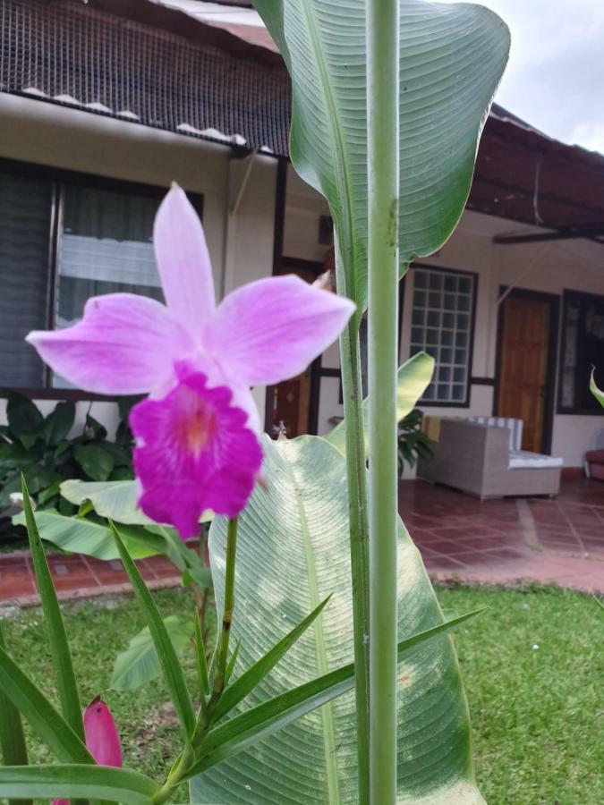 Turrialba Bed & Breakfast Exteriör bild