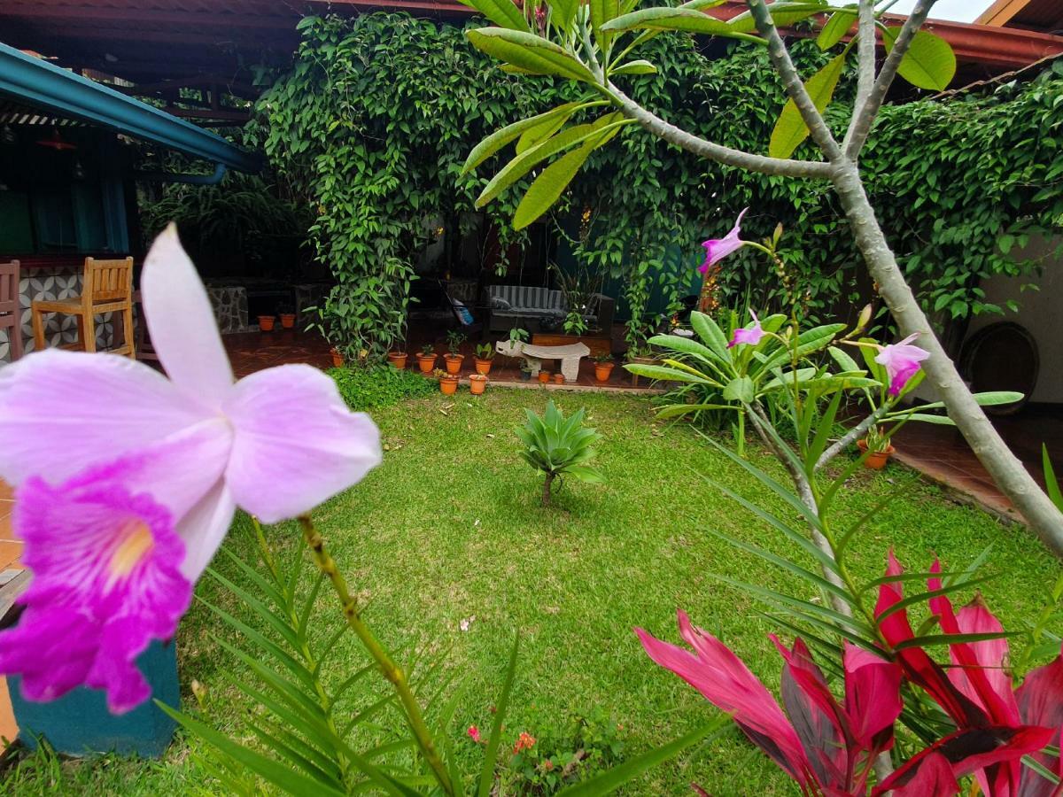 Turrialba Bed & Breakfast Exteriör bild